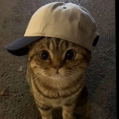 guapaul