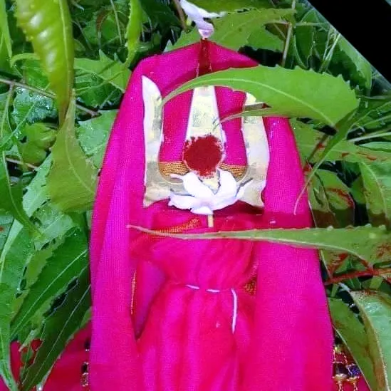 amma51974
