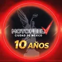 @motofeel