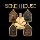 @senehhouse8