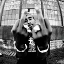 @che_williams.4