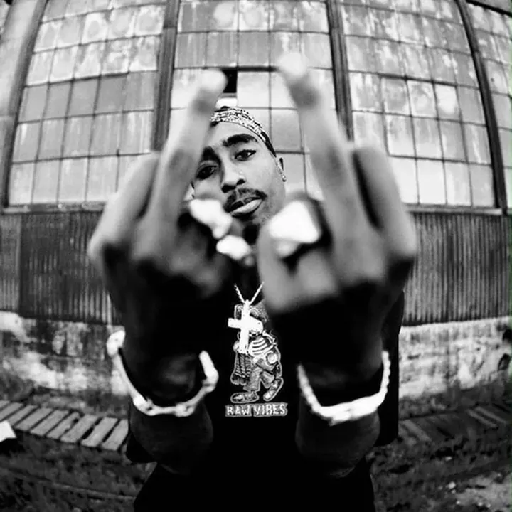 @che_williams.4