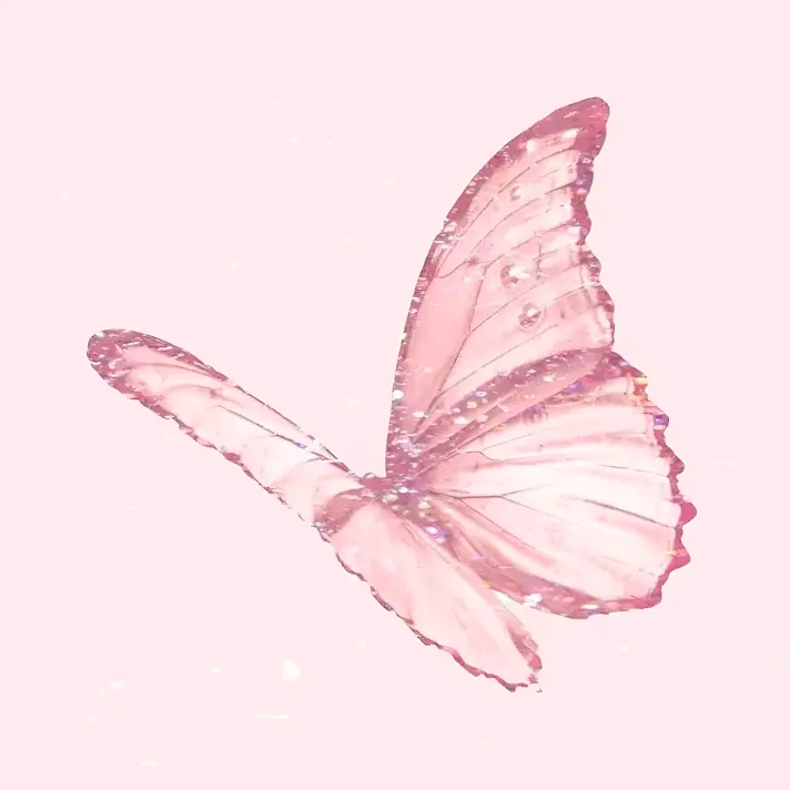 sfyaa.06