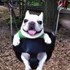 sofie_rants2