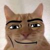 only_npc3
