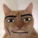 @only_npc3
