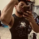 @fsversion