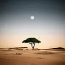@xamilyon9
