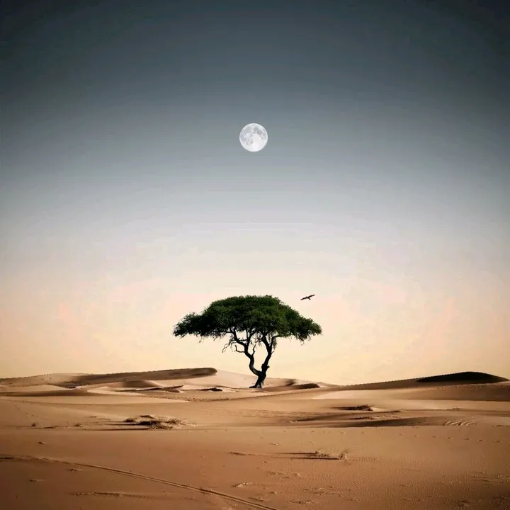 xamilyon9