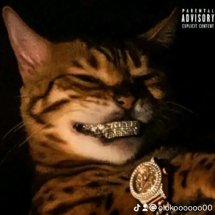 olokoooooo00