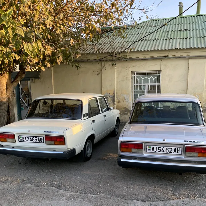 m_berdiyev_14