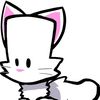 klaratheangoracat