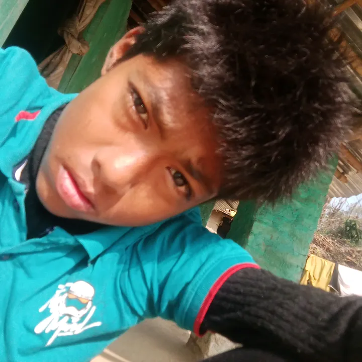 biswajit.chaudhar5