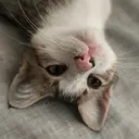 @lol013616