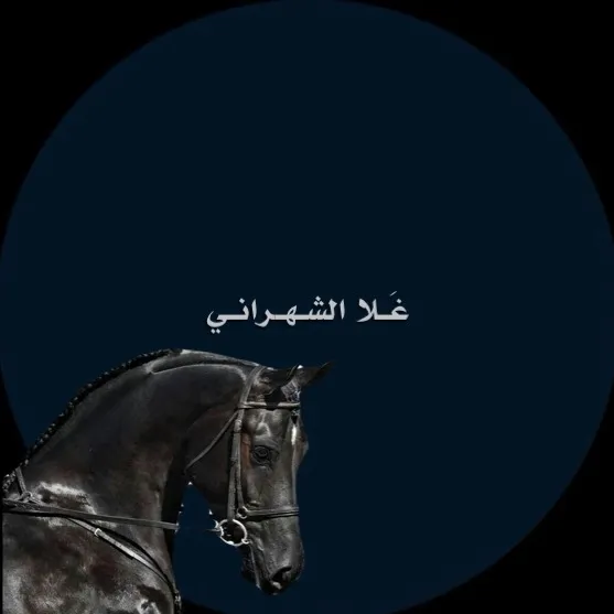 gha.507