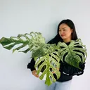 @plantlife50