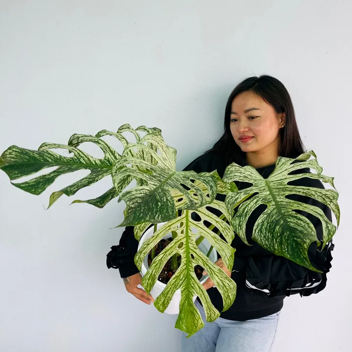 plantlife50