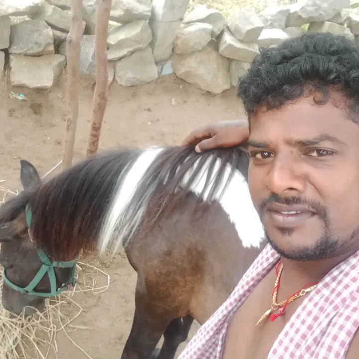 chakravarthi2929