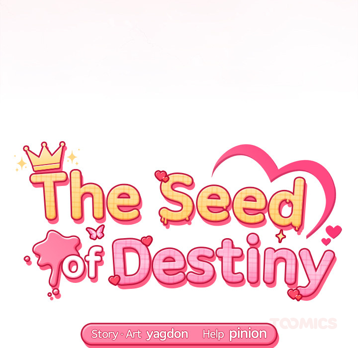 The Seed of Destiny - episode 16 - 19