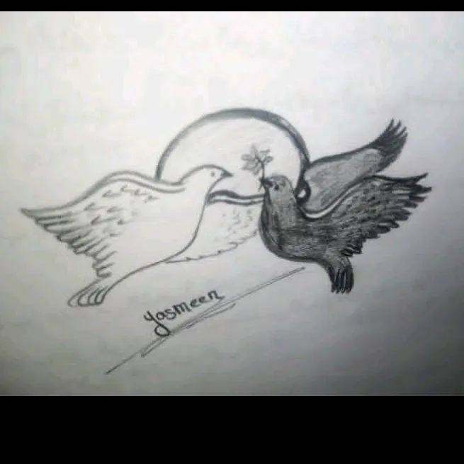 @user13492957631667