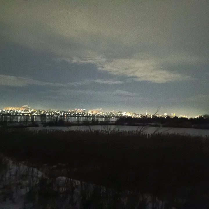 dima_avilov_36