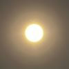 suresh.yadav167