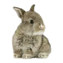 @jwkwskk