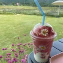 @yolp_01444y