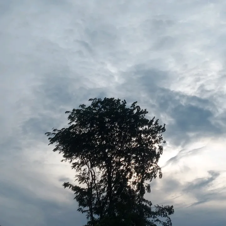 dewizeba