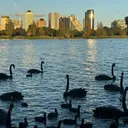 @swanrelaxlife