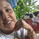 @alfaromelissa