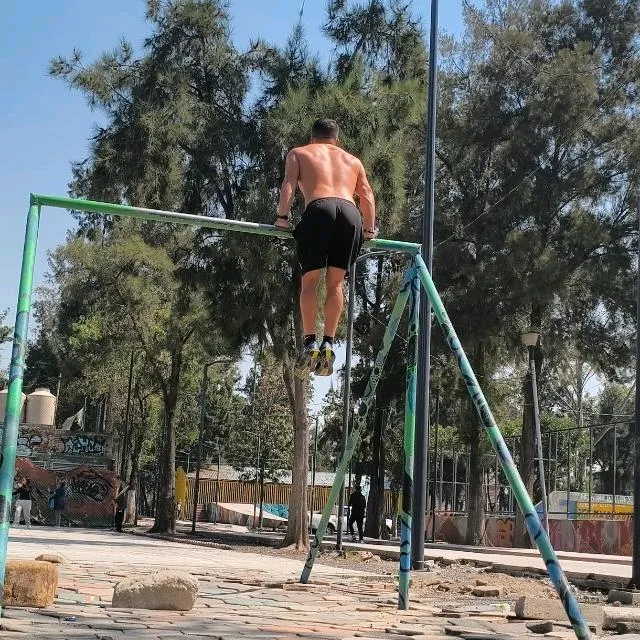 elemiranda6