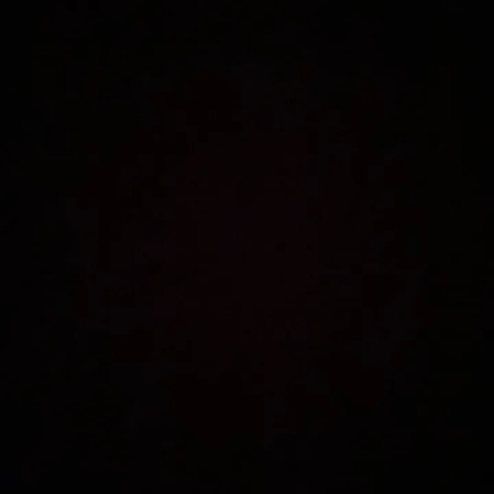 faiza.rachad