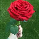 @manumayathakuri