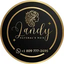 @landysun18