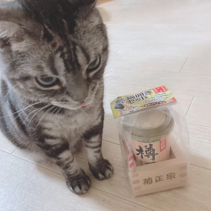 miwako.miwayukimiyu