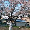 anishasah_02