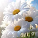 @42kalbimmm