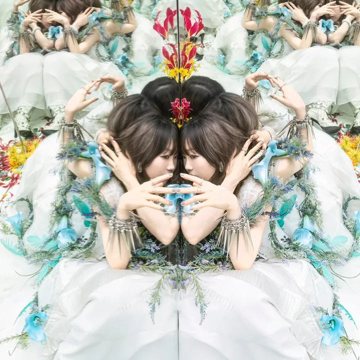 @aimer.official_