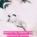 @33_mut.hky.y