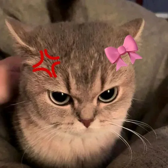 cindybadillo3