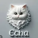 @ecaaaaaaaaaa666
