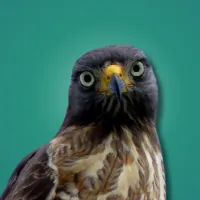 mundoaparte_01