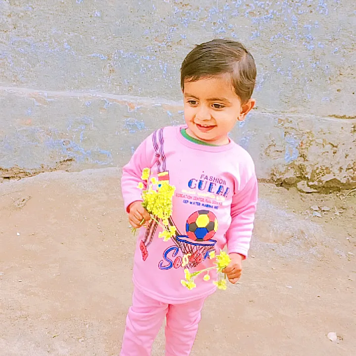 hasnainshaheensb