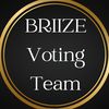 briize_voting_team