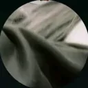 @alesiamileydi1