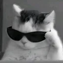 @madvz5