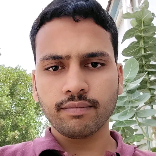 zakir01999
