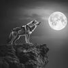 snowwolf_19951