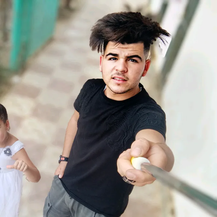 zimo_ws